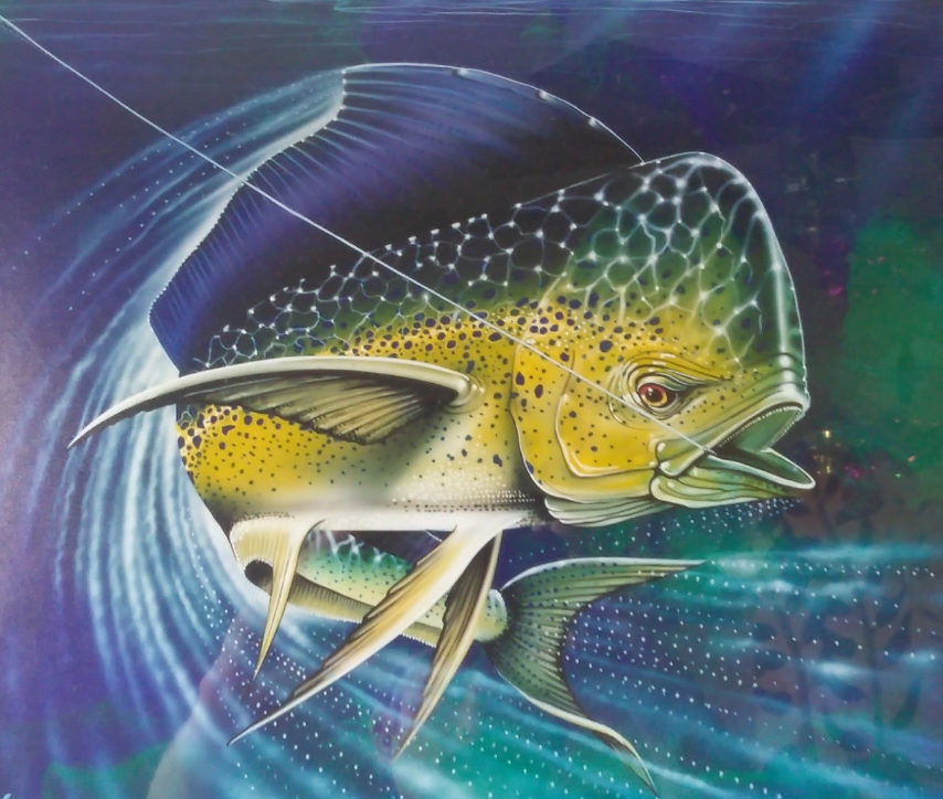 Dorados Window Cleaning logo